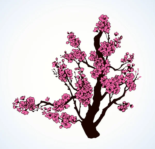 Árbol con flores de primavera. Dibujo vectorial — Vector de stock