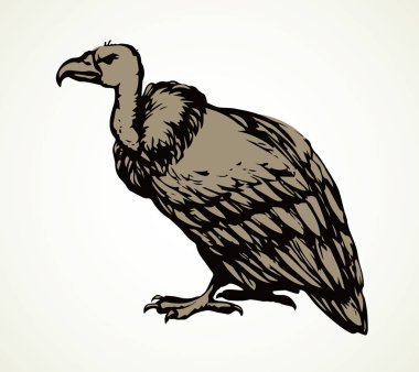 Vulture. Vector drawing icon sign clipart