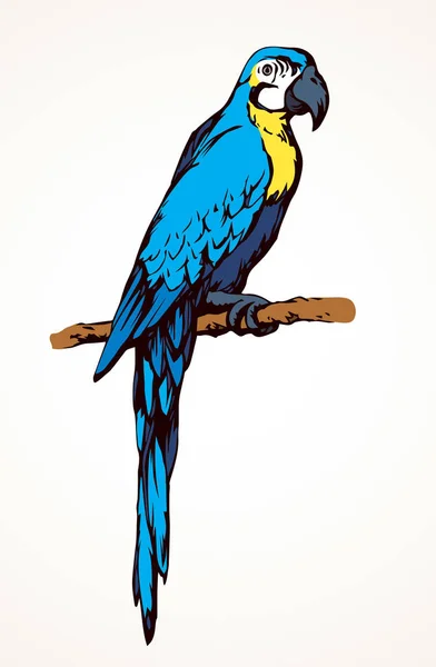 Icono pájaro loro. Dibujo vectorial — Vector de stock