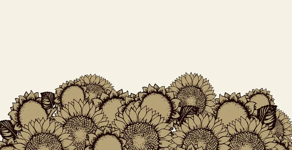 Illustrazione vettoriale. Girasoli — Vettoriale Stock