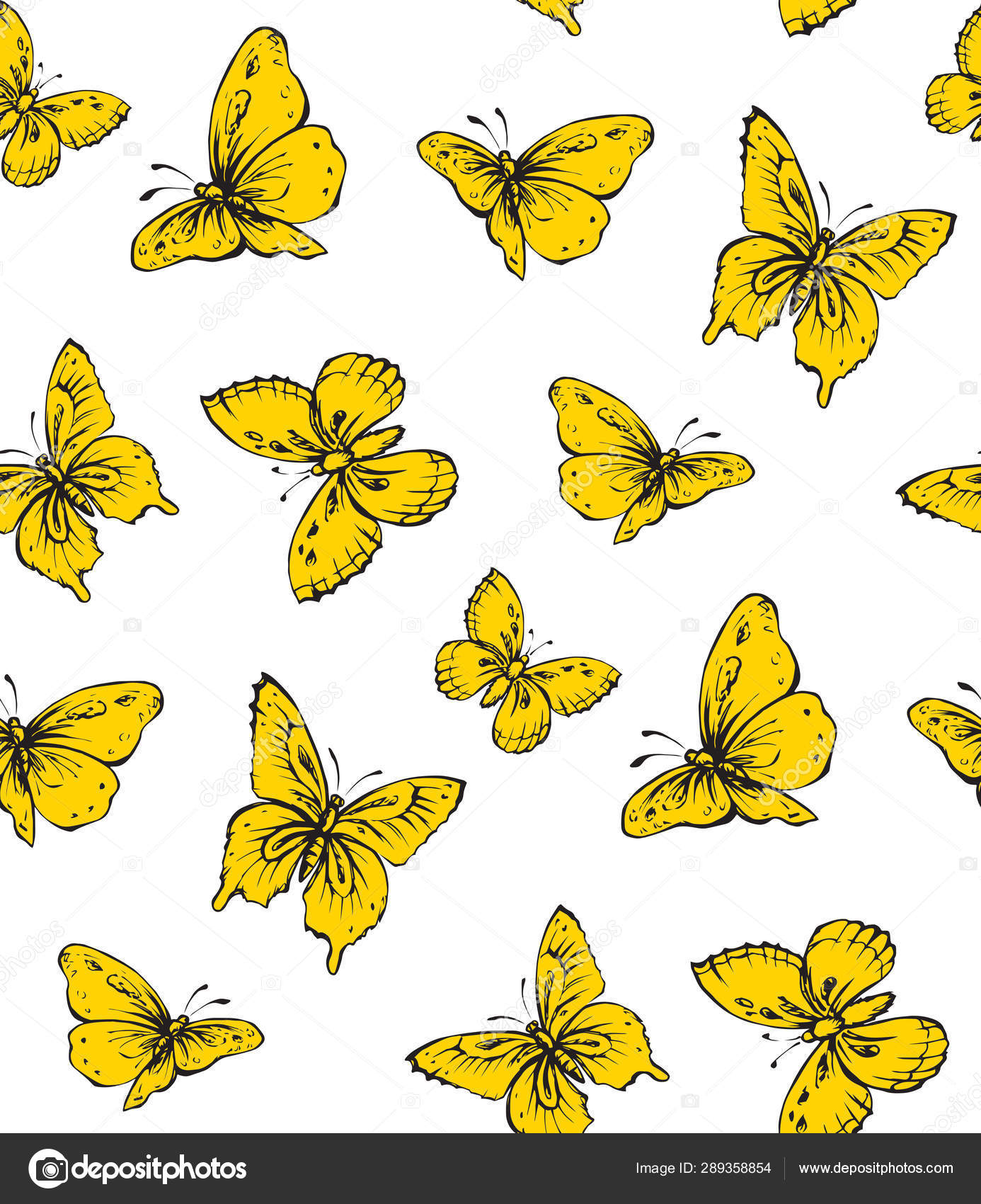 Yellow And Black Butterfly Drawing