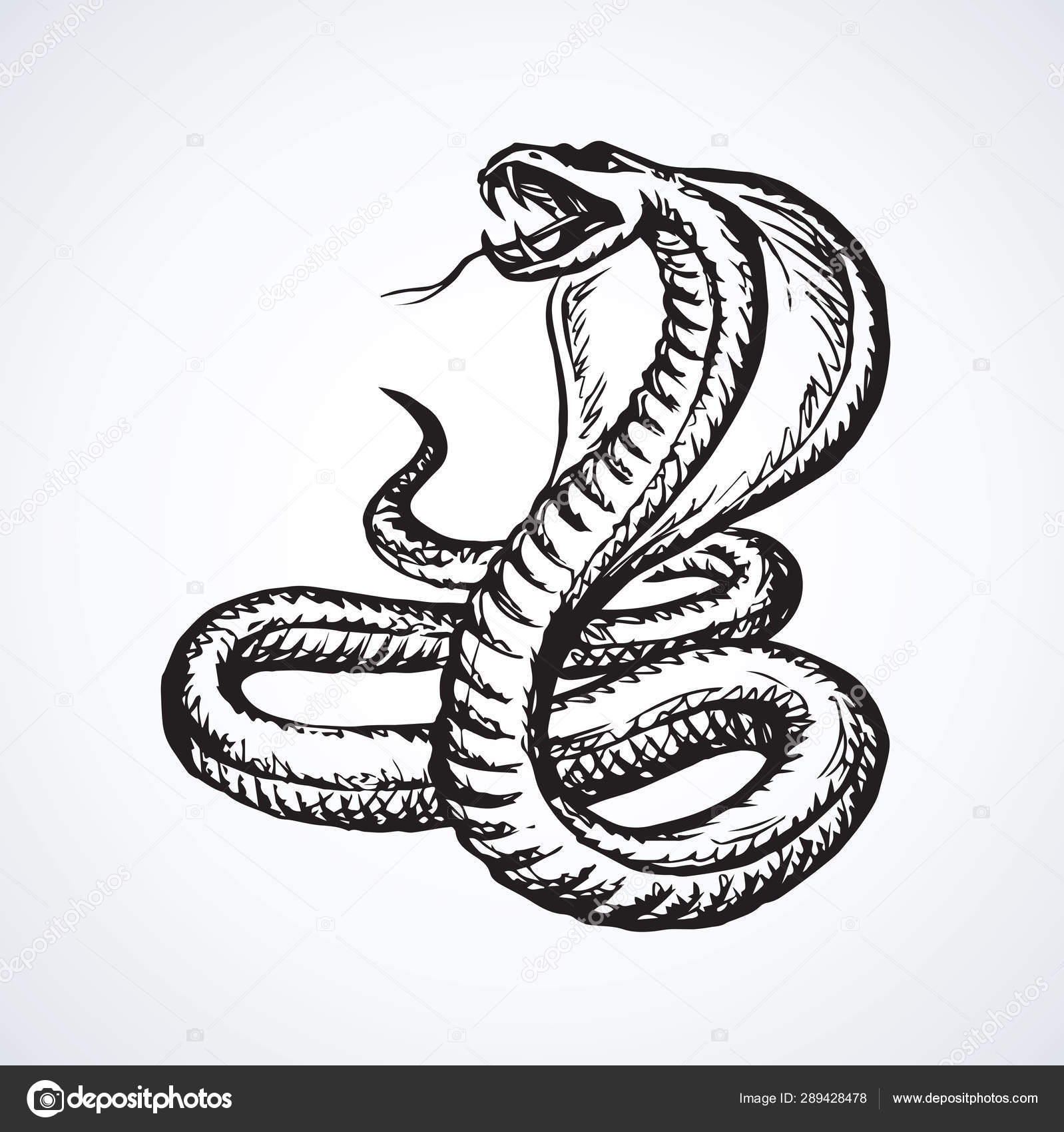 cobra enrolada bonito dos desenhos animados em estilo doodle