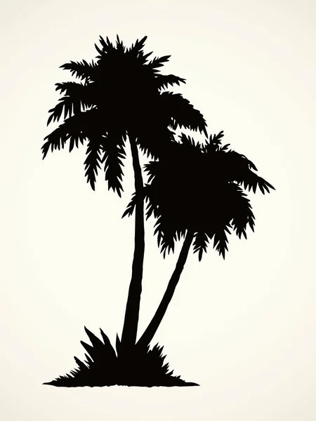 Palm op strand. Vector tekening — Stockvector