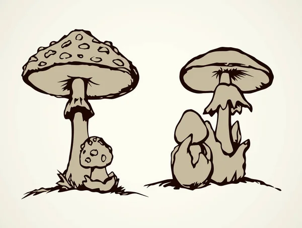 Jedovaté houby. Vektorové kreslení — Stockový vektor
