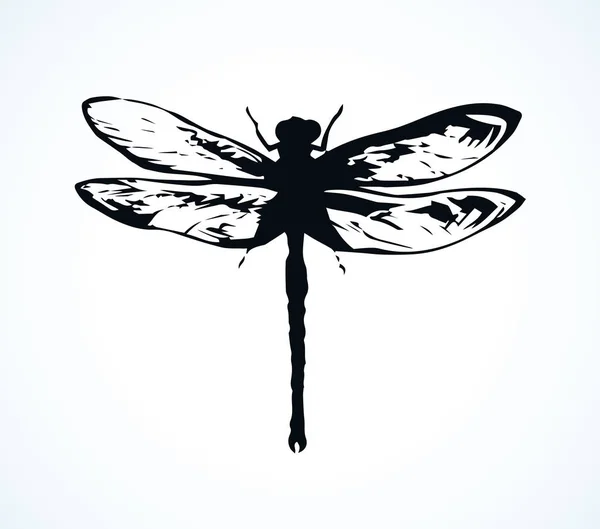 Dragonfly. Vektorritning — Stock vektor