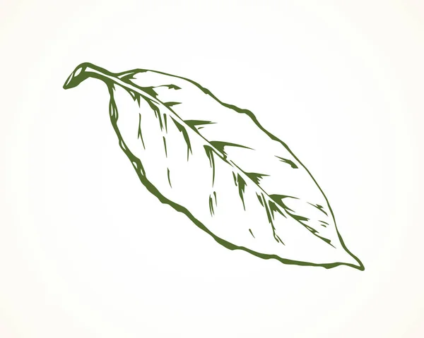 ツリーの葉。ベクトル描画 — ストックベクタ