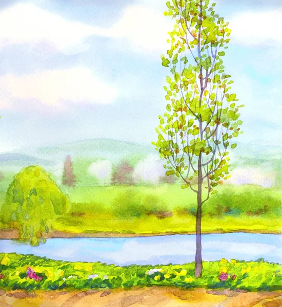 川に若いポプラの木 — ストック写真
