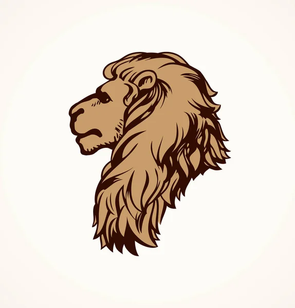 Lion. Vector drawing — Stock Vector