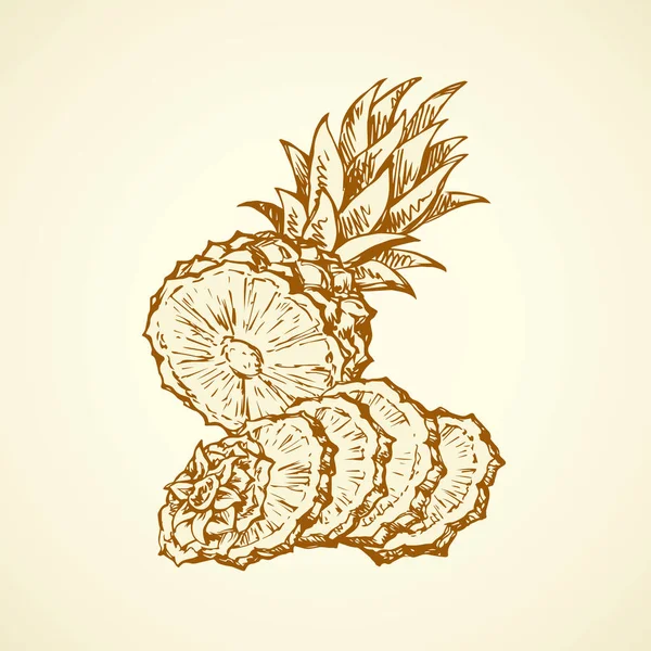 Ananas. Vector tekening — Stockvector