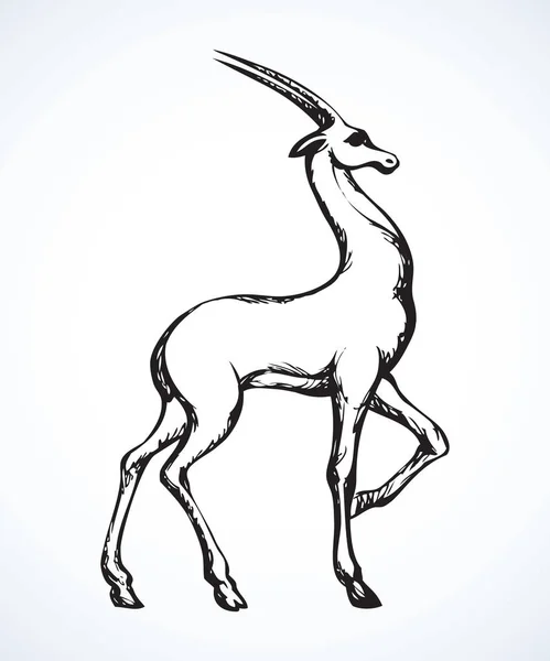 Antelope. Disegno vettoriale — Vettoriale Stock