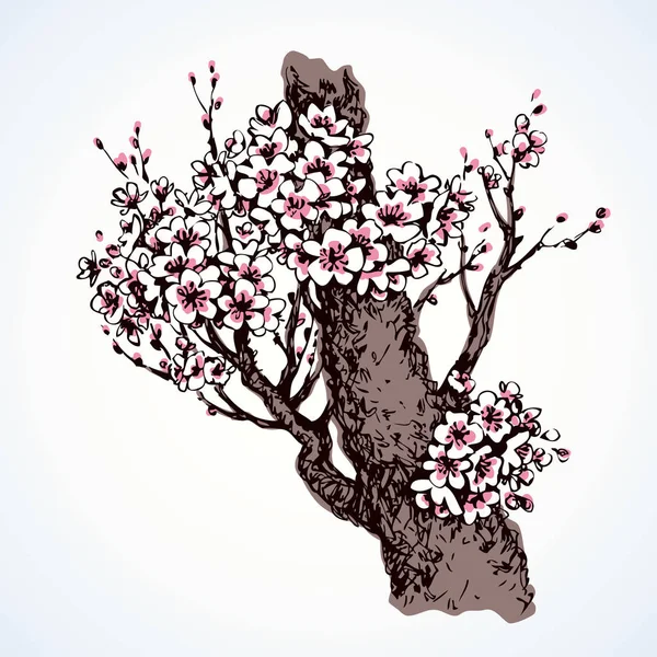 Arbre à fleurs printanières. Dessin vectoriel — Image vectorielle