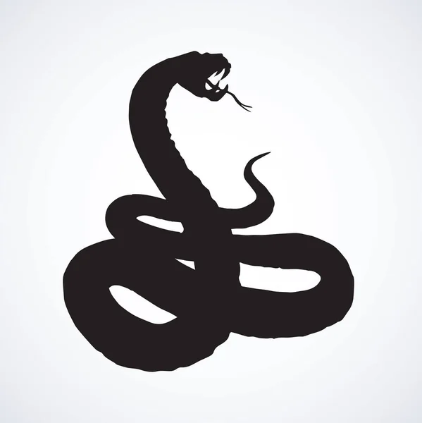 Un serpent. Dessin vectoriel — Image vectorielle