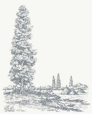 Nehrin üzerindeki bir tepede kavak. Vektör çizimi