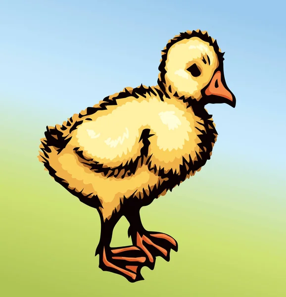 Pequeño patito. Icono de dibujo vectorial — Archivo Imágenes Vectoriales