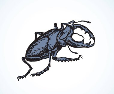 Lucanus cervus. Vektör çizim