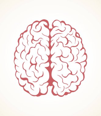 Beyin. Vektör çizim