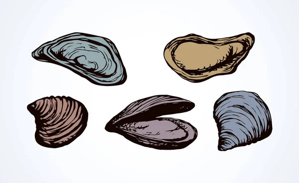 Oyster. Vector tekening — Stockvector