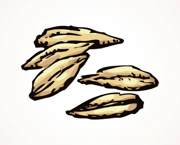 Granos de trigo. Dibujo vectorial — Vector de stock