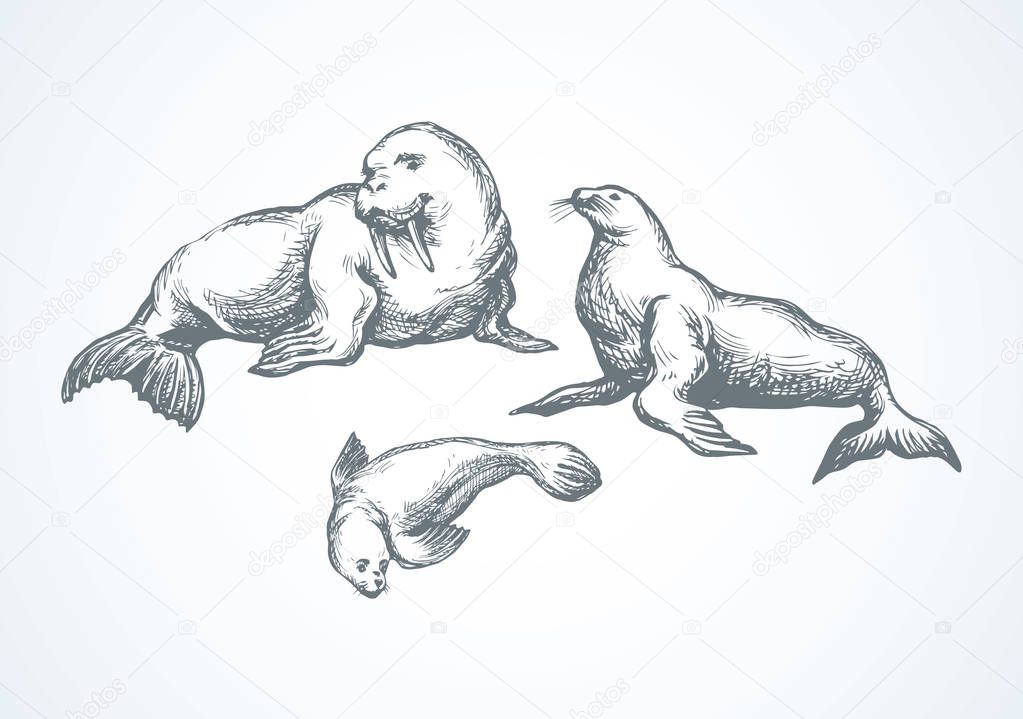 Big fat sealion creature on cold frozen winter backdrop. Dark grey outline ink hand drawn cute fun zoo circus pet logo pictogram emblem sketchy in retro art doodle etch style on paper space for text