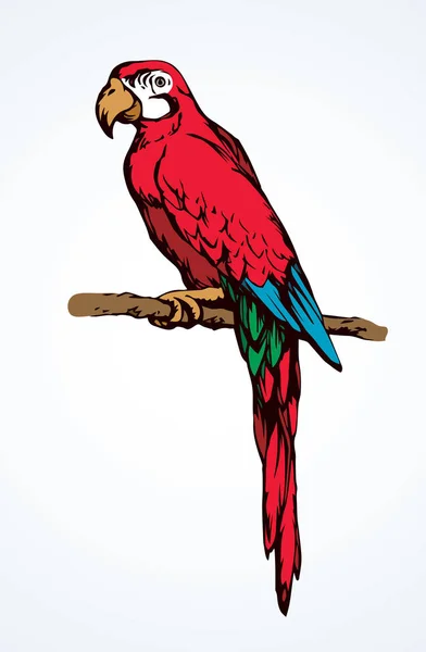 Icono pájaro loro. Dibujo vectorial — Vector de stock