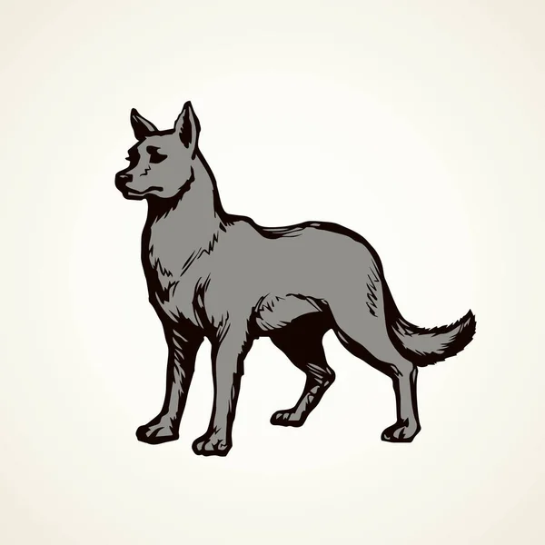 Wolf. Vector tekening — Stockvector