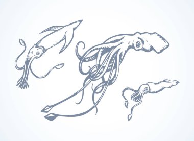 Mürekkep balığı. Vektör çizim