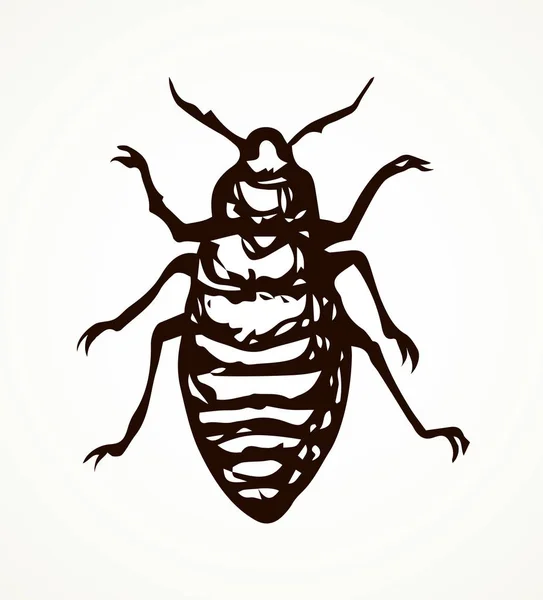 Böceği. Larva. Vektör çizim — Stok Vektör