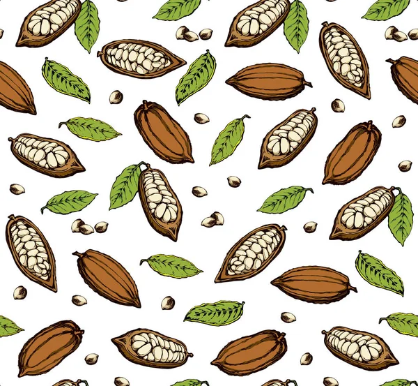 Kakao meyveleri. Vektör çizim