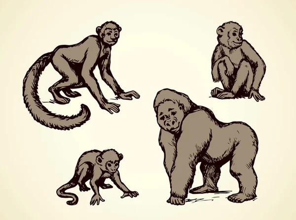 Лемур и обезьяны. Векторная иллюстрация — стоковый вектор