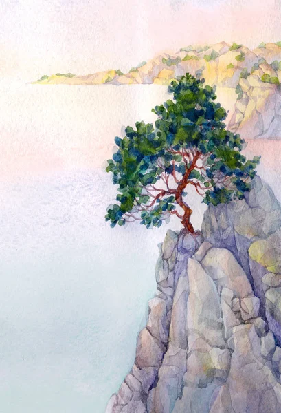 Сосна на высокой скалистой скале над морем — стоковое фото