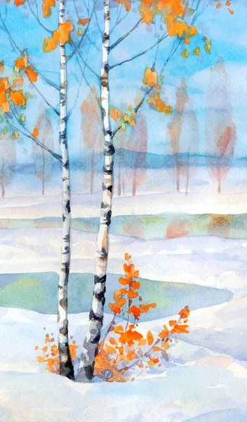 Berken in winter veld. Aquarel schilderij — Stockfoto