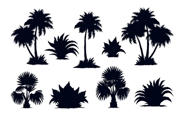 Bosque de palma. Dibujo vectorial — Archivo Imágenes Vectoriales