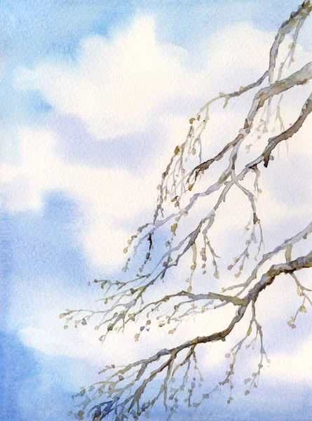 Watercolor landscape. Old bare tree — Stock Photo, Image