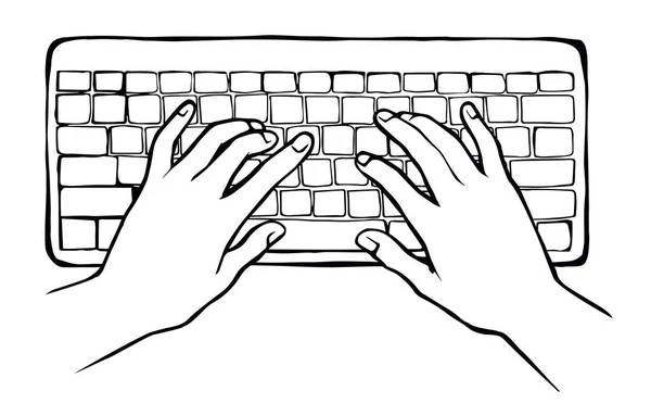 Hands on the keyboard. Vector drawing — Stock Vector