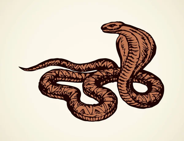 Serpente. Desenho vetorial —  Vetores de Stock