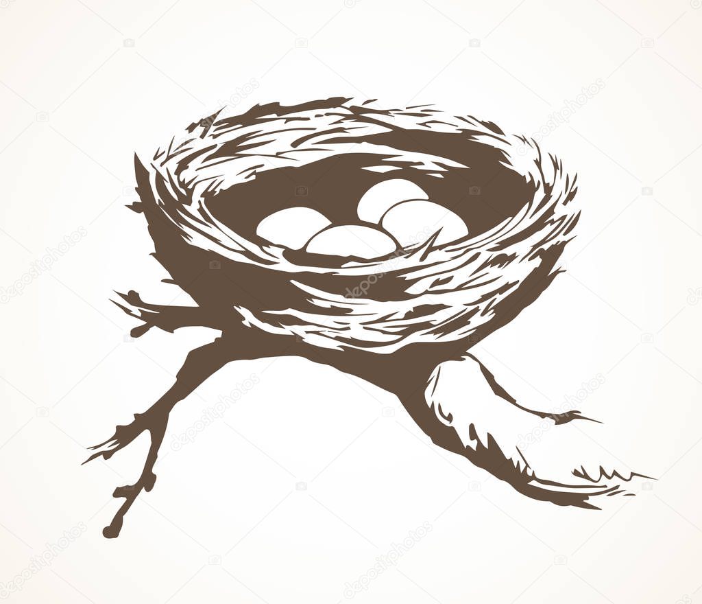 New twig woven eco birdnest on white backdrop. Line black ink hand drawn birdie embryo food object logo emblem sketchy in retro art doodle style pen on paper space for text. Closeup outline april view