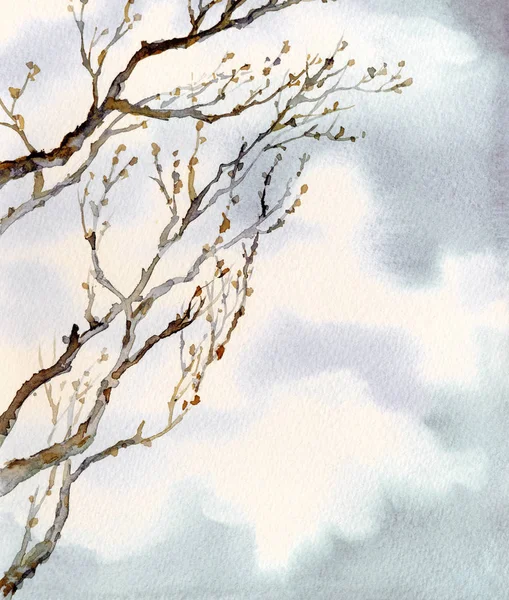 Watercolor landscape. Old bare tree — Stock Photo, Image