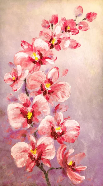 Orkide çiçekleri. Yağlıboya — Stok fotoğraf