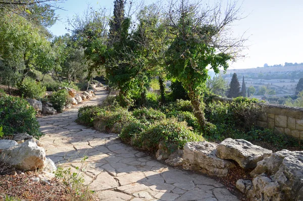 Widok Jerozolimy z Góry Oliwnej — Zdjęcie stockowe