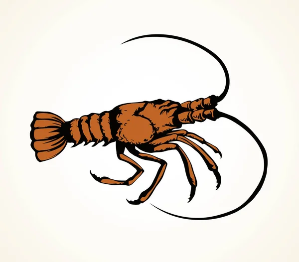 Lobster. Gambar vektor - Stok Vektor