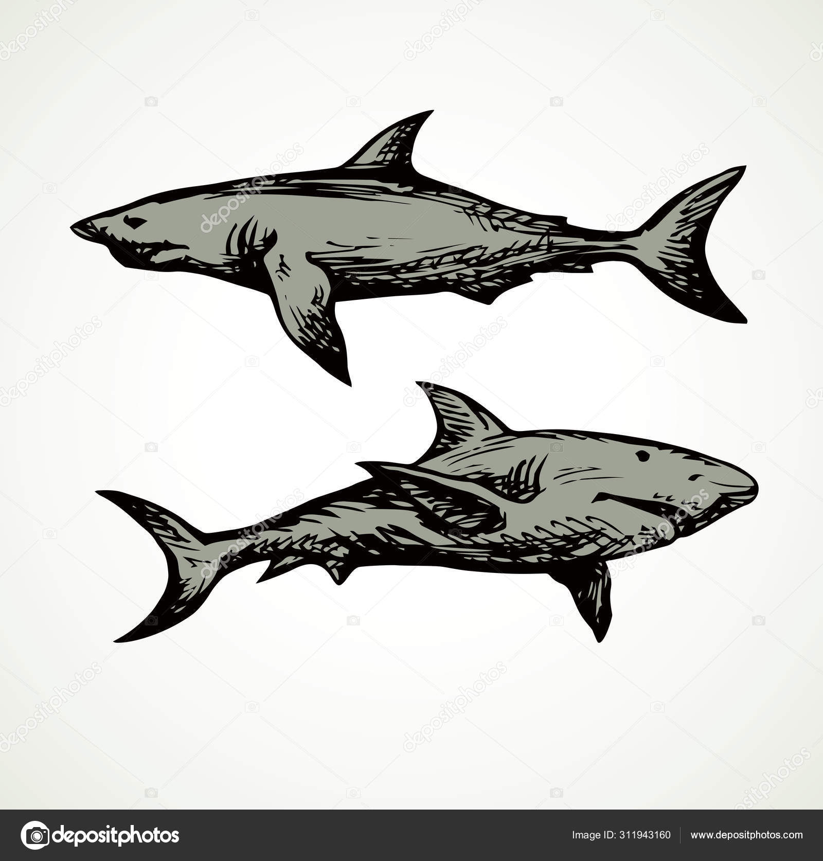 Stylo Requin Noir