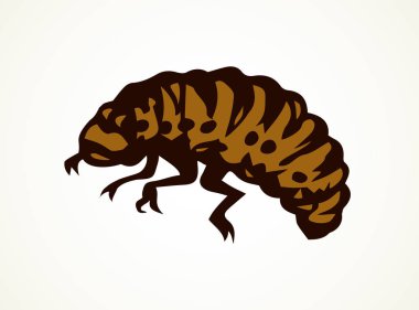 Böceği. Larva. Vektör çizim