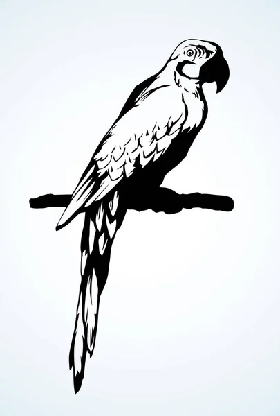 Icona dell'uccello pappagallo. Disegno vettoriale — Vettoriale Stock