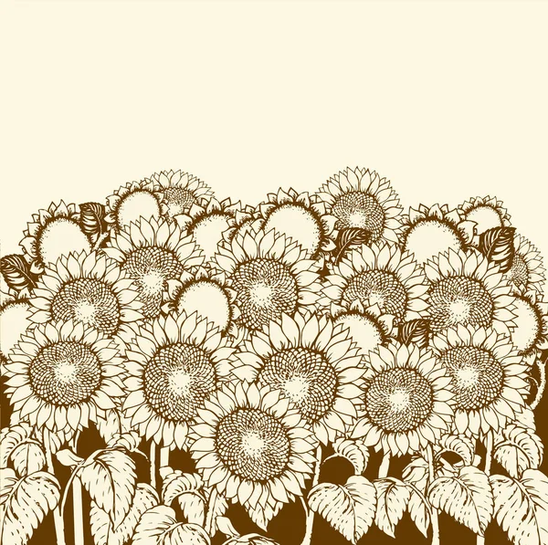 Illustration vectorielle. Tournesols — Image vectorielle