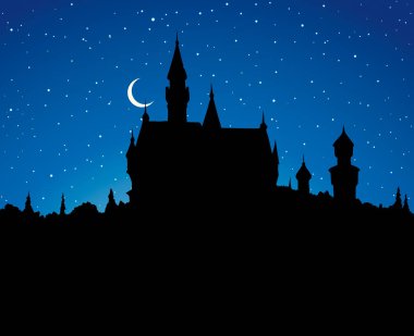 Ünlü Alman kalesi. Vektör çizimi