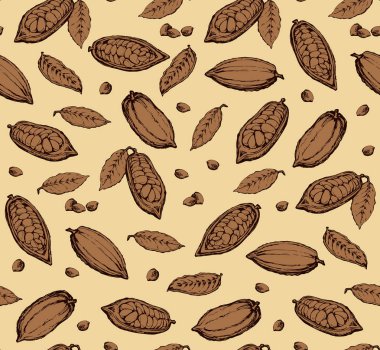 Kakao meyveleri. Vektör çizim