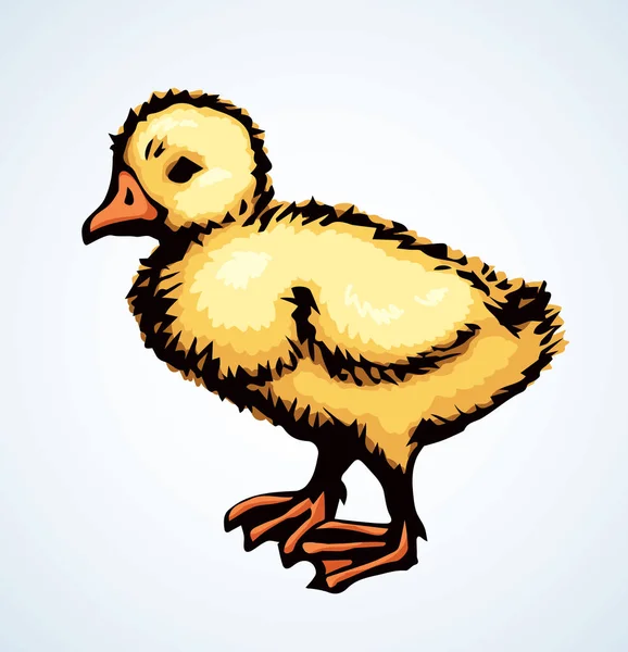 Pequeño patito. Icono de dibujo vectorial — Archivo Imágenes Vectoriales