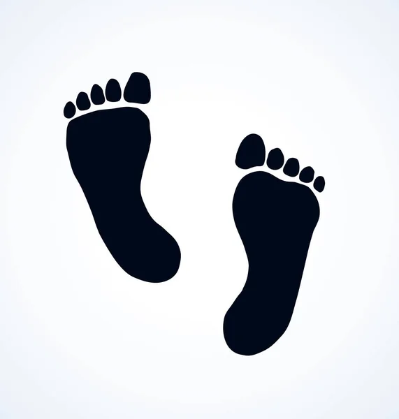 Foot. Vector drawing — Stock Vector