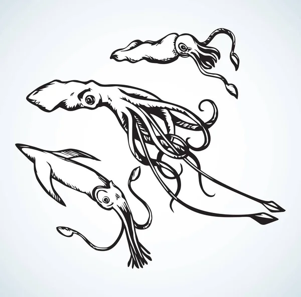 Tintenfisch. Vektorzeichnung — Stockvektor