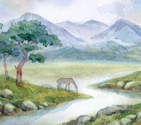 Paisagem aquarela. Um cavalo bebe de um riacho de montanha — Fotografia de Stock